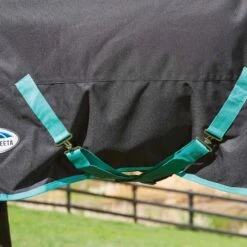 Weatherbeeta Green-Tec 900D Detach-A-Neck Heavy Turnout Blanket - Black/Bottle Green -Equestrian Supplies Shop 412782 800 800