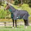 Weatherbeeta Green-Tec 900D Detach-A-Neck Medium Turnout Blanket - Black/Bottle Green 2 Weatherbeeta Green-Tec 900D Detach-A-Neck Medium Turnout Blanket - Black/Bottle Green -Equestrian Supplies Shop 413684 800 800