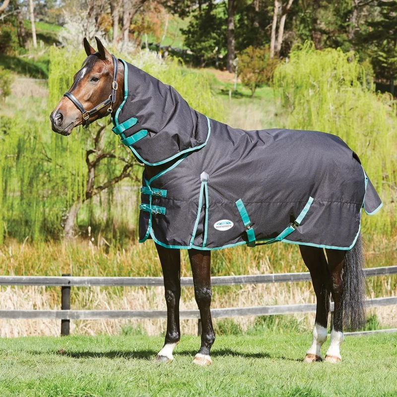 Weatherbeeta Green-Tec 900D Detach-A-Neck Medium Turnout Blanket - Black/Bottle Green 3 Weatherbeeta Green-Tec 900D Detach-A-Neck Medium Turnout Blanket - Black/Bottle Green