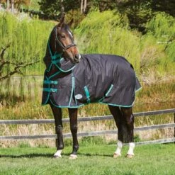 Weatherbeeta Green-Tec 900D Detach-A-Neck Medium Turnout Blanket - Black/Bottle Green 12 Weatherbeeta Green-Tec 900D Detach-A-Neck Medium Turnout Blanket - Black/Bottle Green -Equestrian Supplies Shop 413688 800 800
