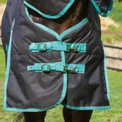 Weatherbeeta Green-Tec 900D Detach-a-Neck Lite Plus - Black/Bottle Green -Equestrian Supplies Shop 414214 800 800