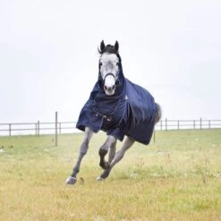 Horze Avalanche Medium Weight Combo Turnout Blanket 150g - Peacoat Dark Blue 7 Horze Avalanche Medium Weight Combo Turnout Blanket 150g - Peacoat Dark Blue -Equestrian Supplies Shop 416964 800 800