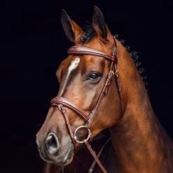 Horze Sion Bridle W/Reins - Brown