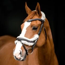 Horze Rome Snaffle Bridle - Dark Brown -Equestrian Supplies Shop 417824 800 800