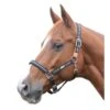 Roma Reflective Breakaway Headcollar - Navy -Equestrian Supplies Shop 417870 800 800