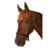 Roma Everyday Headcollar - Black 2 Roma Everyday Headcollar - Black -Equestrian Supplies Shop 417888 800 800