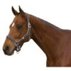 Roma Breakaway Neoprene Padded Headcollar & Lead Set - Navy/Silver -Equestrian Supplies Shop 418882 800 800