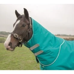 Shires Tempest Plus 200G Neck Cover - Teal