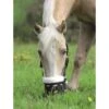 Shires Deluxe Comfort Grazing Muzzle - Black