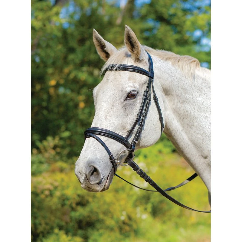 Shires Avignon Louisville Bridle - Black 3 Shires Avignon Louisville Bridle - Black