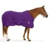 Centaur Pony Turbo-Dry Cooler W/Surcingle - Orchid 1 Centaur Pony Turbo-Dry Cooler W/Surcingle - Orchid -Equestrian Supplies Shop 421928 800 800