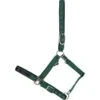 Catago Catago Attitude Halter - Green -Equestrian Supplies Shop 422207 800 800