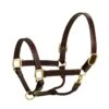 Harmohn Kraft 1" Triple Stitch Halter - Oakbark -Equestrian Supplies Shop 422243 800 800