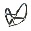Ovation Richtan Luxury Padded Halter - Black/Blue -Equestrian Supplies Shop 422282 800 800