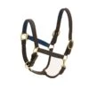 Ovation Richtan Luxury Padded Halter - Brown/Blue 1 Ovation Richtan Luxury Padded Halter - Brown/Blue -Equestrian Supplies Shop 422319 800 800