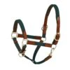 Harmohn Kraft Padded Web/Leather Halter W/Snap - Hunter/Australian Nut -Equestrian Supplies Shop 423337 800 800