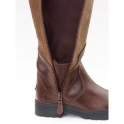 Ovation Women's Moorland II Waterproof Highrider Tall Boot - Brown -Equestrian Supplies Shop 430856 800 800