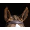 Pessoa PRO Fancy Stitched Tapered Noseband Bridle - Dark Brown -Equestrian Supplies Shop 436168 800 800