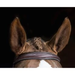 Pessoa PRO Fancy Stitched Tapered Noseband Bridle - Dark Brown