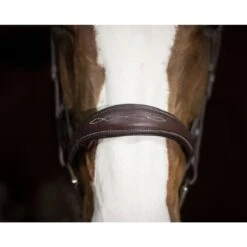 Pessoa PRO Fancy Stitched Tapered Noseband Bridle - Dark Brown -Equestrian Supplies Shop 436170 800 800