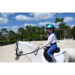 Ovation Metallic Schooler Helmet - Teal -Equestrian Supplies Shop 437976 800 800