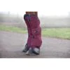 Rambo Travel Boots - Burgundy/Burgundy/Teal/Navy -Equestrian Supplies Shop 441238 800 800