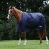 Saxon Defiant 600D Standard Neck Lite - Navy/White -Equestrian Supplies Shop 441510 800 800