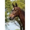 Kincade Raised Fancy Stitched Bridle - Brown -Equestrian Supplies Shop 442510 800 800