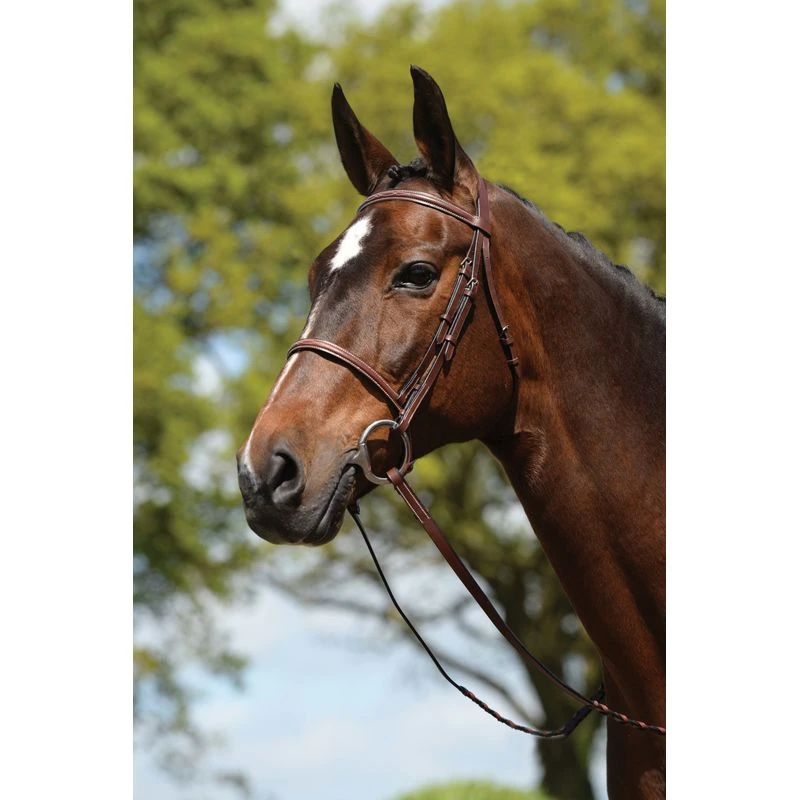 Kincade Raised Fancy Stitched Bridle - Brown 3 Kincade Raised Fancy Stitched Bridle - Brown