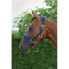 Saxon Fleece Lined Ribbon Headcollar - Navy/Blue -Equestrian Supplies Shop 443105 800 800