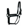 Western Rawhide Signature Halter - Black -Equestrian Supplies Shop 443641 800 800