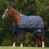 Saxon Defiant 600D Standard Neck Medium - Navy/Plaid -Equestrian Supplies Shop 444070 800 800