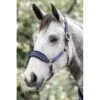 Rambo Padded Halter - Navy/Burgundy,Dusty Blue/Navy -Equestrian Supplies Shop 444166 800 800