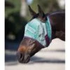 Kensington Signature Fly Mask W/Web Trim - Imperial Jade -Equestrian Supplies Shop 446725 800 800