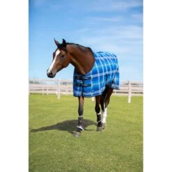 Kensington Protective Sheet SureFit - Kentucky Blue -Equestrian Supplies Shop 447025 800 800