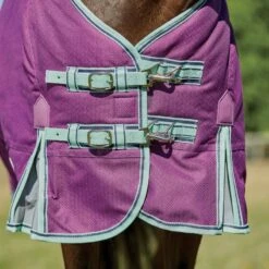 Weatherbeeta Comfitec Premier Freedom Pony Detach-A-Neck Lite - Purple/Navy/Mint 11 Weatherbeeta Comfitec Premier Freedom Pony Detach-A-Neck Lite - Purple/Navy/Mint -Equestrian Supplies Shop 449932 800 800
