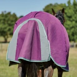 Weatherbeeta Comfitec Premier Freedom Pony Detach-A-Neck Lite - Purple/Navy/Mint 12 Weatherbeeta Comfitec Premier Freedom Pony Detach-A-Neck Lite - Purple/Navy/Mint -Equestrian Supplies Shop 449933 800 800