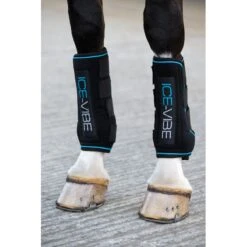 Ice-Vibe Horse Boot - Black/Aqua