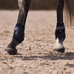 Horze Adepto Fetlock Boots - Dark Navy -Equestrian Supplies Shop 454208 800 800