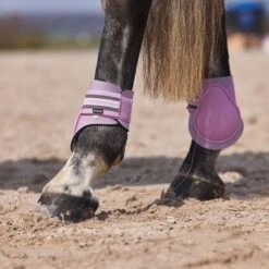 Horze Adepto Fetlock Boots - Dawn Pink -Equestrian Supplies Shop 454534 800 800