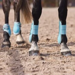 Horze Adepto Fetlock Boots - Canal Blue -Equestrian Supplies Shop 454587 800 800