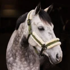 Horze Marquess Halter - Burnt Olive