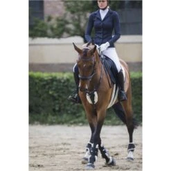 Cavalliera Women's Superior Show Jacket - Navy Blue 8 Cavalliera Women's Superior Show Jacket - Navy Blue -Equestrian Supplies Shop 455608 800 800