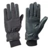 Ovation Women's Elegant Rider Winter Gloves - Black -Equestrian Supplies Shop 466424 800 800