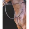Shires Rossano Standing Martingale - Havana -Equestrian Supplies Shop 469755 800 800