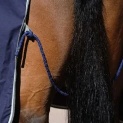 Weatherbeeta Cotton Show Sheet With Surcingles II Standard Neck - Dark Blue/Grey/White 9 Weatherbeeta Cotton Show Sheet With Surcingles II Standard Neck - Dark Blue/Grey/White -Equestrian Supplies Shop 470529 800 800