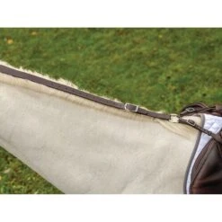 Shires Avignon Daisy Rein - Havana