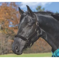 Shires Avignon Leather Halter - Black