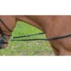 Shires Avignon Leather & Elastic Side Reins - Black 1 Shires Avignon Leather & Elastic Side Reins - Black -Equestrian Supplies Shop 472702 800 800