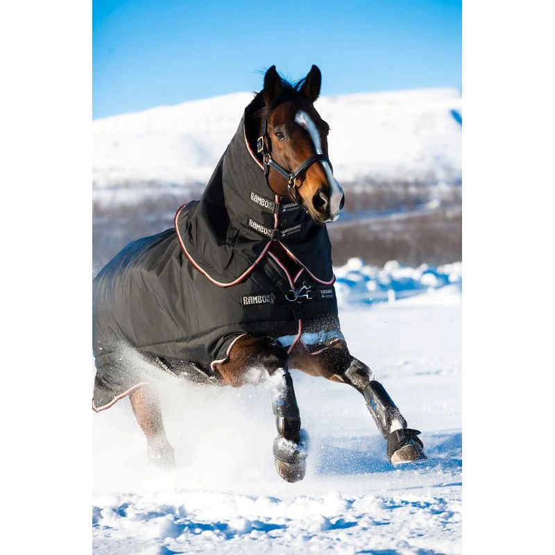 Rambo Supreme Turnout 420g - Black/Orange/Black 5 Rambo Supreme Turnout 420g - Black/Orange/Black - Image 3